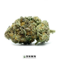 Cinderella 99 - Buy Weed Online - Dispensary Near Me Now