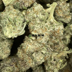 Cinderella 99 - Online Dispensary Canada - Dispensary Near Me Now