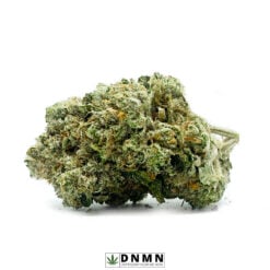 Gas Leak - Buy Weed Online - Dispensary Near Me Now