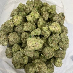 Gas Leak - Cheap Weed Canada - Dispensary Near Me Now