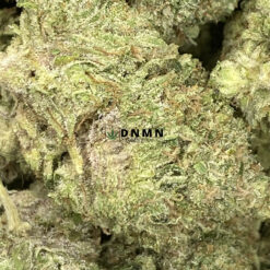 Gas Leak - Online Dispensary Canada - Dispensary Near Me Now