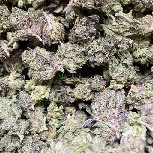 Gas - Online Dispensary Canada - Dispensary Near Me Now