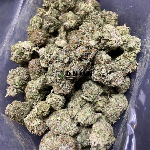 Holy Grail Kush - Cheap Weed Canada - Dispensary Near Me Now