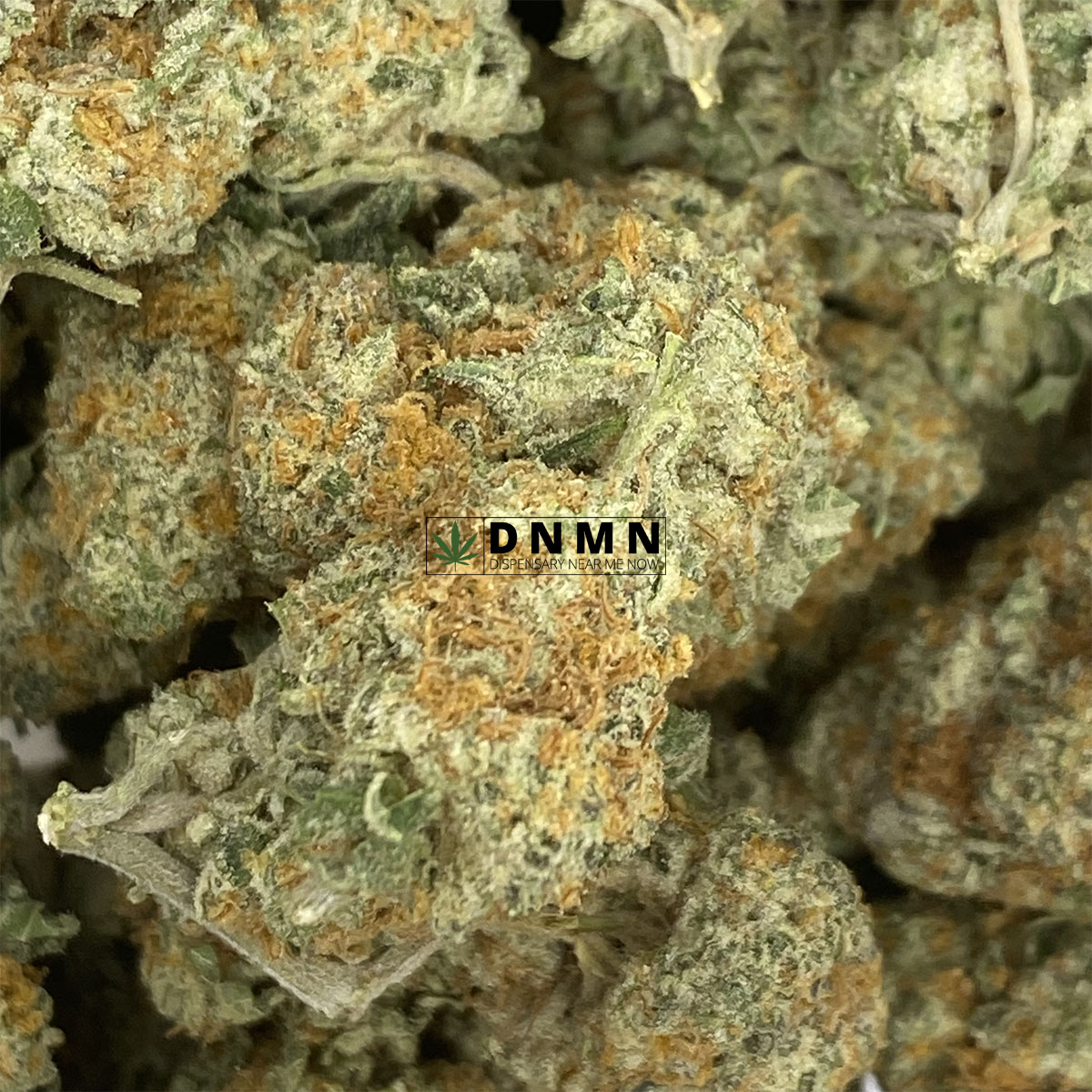 White Berrry - Online Dispensary Canada - Dispensary Near Me Now