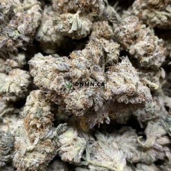 Cactus Breath - Online Dispensary Canada - Dispensary Near Me Now