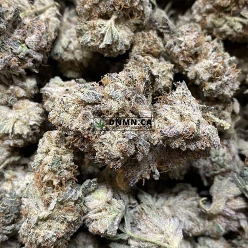Cactus Breath - Online Dispensary Canada - Dispensary Near Me Now