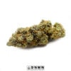 Amnesia Haze - Buy Weed Online - Dispensary Near Me Now