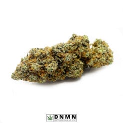 Amnesia Haze - Buy Weed Online - Dispensary Near Me Now