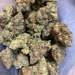 Amnesia Haze - Cheap Weed Canada - Dispensary Near Me Now