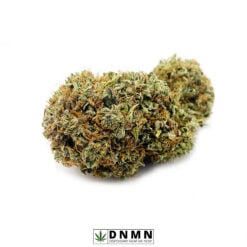 Do-Si-Dos - Buy Weed Online - Dispensary Near Me Now