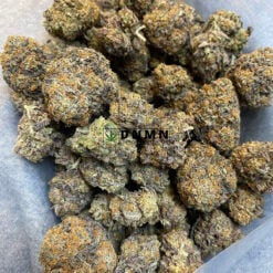 Purple Mazar - Cheap Weed Canada - Dispensary Near Me Now