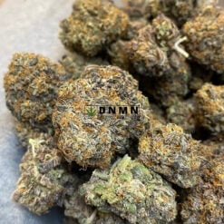 Purple Mazar - Online Dispensary Canada - Dispensary Near Me Now