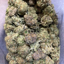 Space Monkey - Cheap Weed Canada - Dispensary Near Me Now