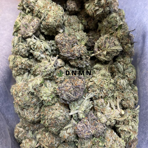 Space Monkey - Cheap Weed Canada - Dispensary Near Me Now