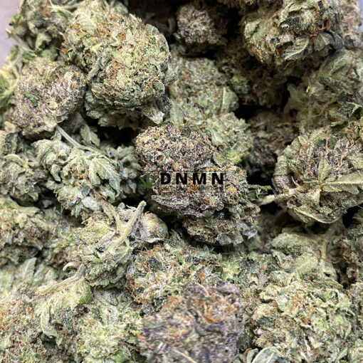 Space Monkey - Online Dispensary Canada - Dispensary Near Me Now