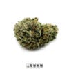 White Runtz - Buy Weed Online - Dispensary Near Me Now