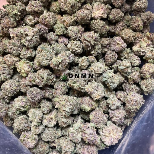 Fruit Loops - Cheap Weed Canada - Dispensary Near Me Now