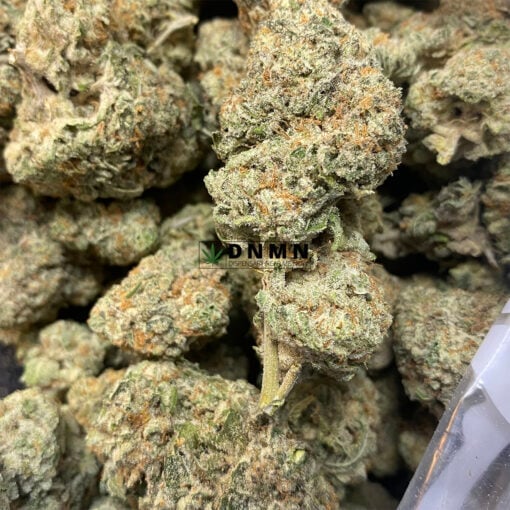 Pink Lemondade - Cheap Weed Canada - Dispensary Near Me Now