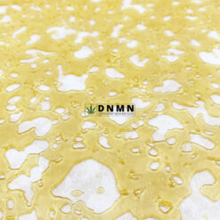 Amnesia Haze Shatter - Buy Weed Online - Dispensary Near Me Now