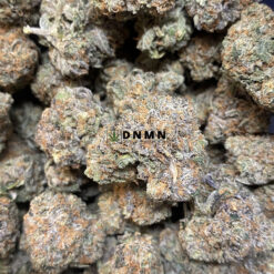 Oreoz - Online Dispensary Canada - Dispensary Near Me Now