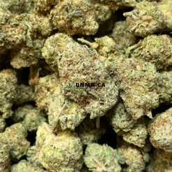 Purple Death Bubba - Online Dispensary Canada - Dispensary Near Me Now