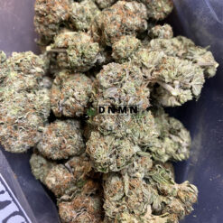 BC Big Bud - Cheap Weed Canada - Dispensary Near Me Now