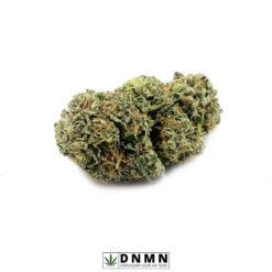 Bio-Jesus - Buy Weed Online - Dispensary Near Me Now