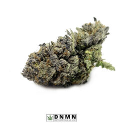 Black Widow - Buy Weed Online - Dispensary Near Me Now