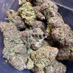 Grapefruit Diesel - Cheap Weed Canada - Dispensary Near Me Now