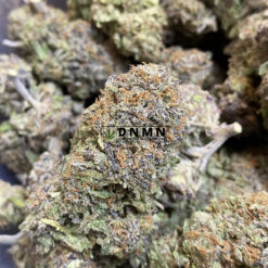 Grapefruit Diesel - Online Dispensary Canada - Dispensary Near Me Now