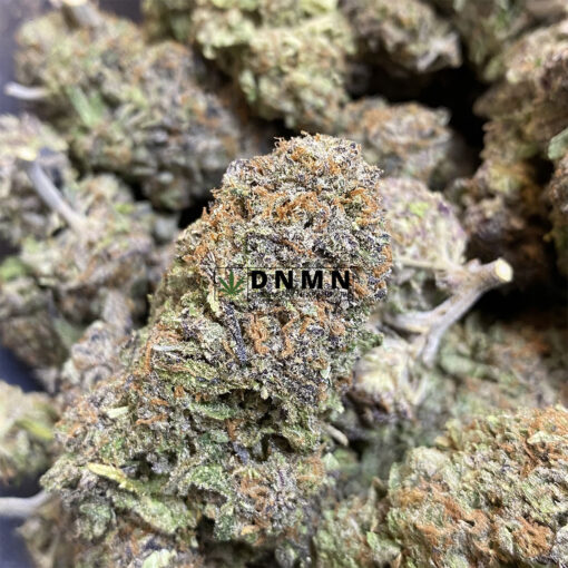 Grapefruit Diesel - Online Dispensary Canada - Dispensary Near Me Now