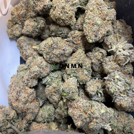 Grizzly Purple Kush - Cheap Weed Canada - Dispensary Near Me Now