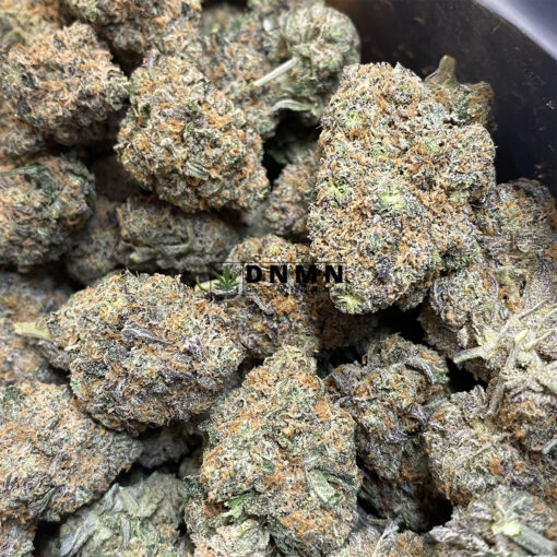Grizzly Purple Kush - Online Dispensary Canada - Dispensary Near Me Now