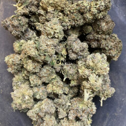 Headband OG - Cheap Weed Canada - Dispensary Near Me Now