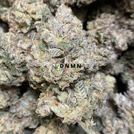Headband OG - Online Dispensary Canada - Dispensary Near Me Now
