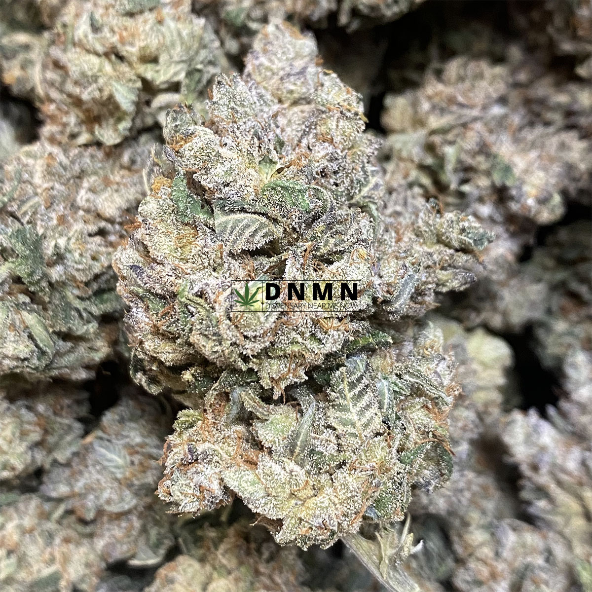 Headband OG - Online Dispensary Canada - Dispensary Near Me Now
