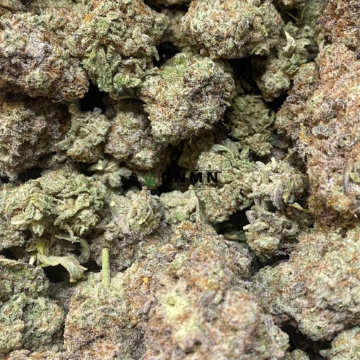 MAC 1 - Image 2
