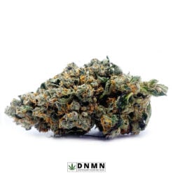Maui Pineapple Chunk - Buy Weed Online - Dispensary Near Me Now