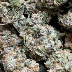 Maui Pineapple Chunk - Online Dispensary Canada - Dispensary Near Me Now