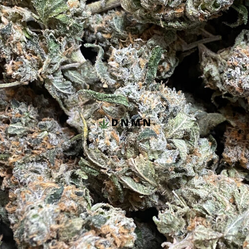 Maui Pineapple Chunk - Online Dispensary Canada - Dispensary Near Me Now