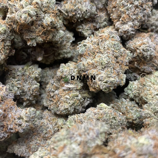 Mimosa - Online Dispensary Canada - Dispensary Near Me Now