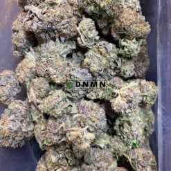 Purple Hindu Kush - Cheap Weed Canada - Dispensary Near Me Now