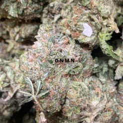 Sour Kush - Online Dispensary Canada - Dispensary Near Me Now