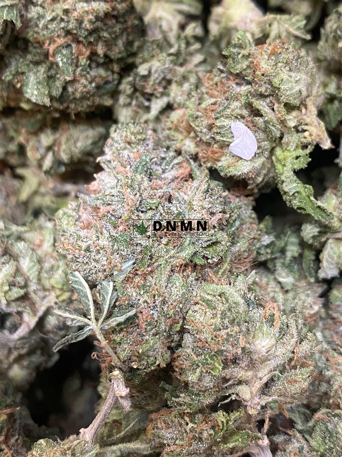 Sour Kush - Online Dispensary Canada - Dispensary Near Me Now