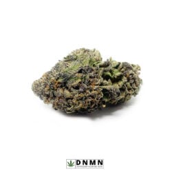 Super Sour Diesel - Buy Weed Online - Dispensary Near Me Now
