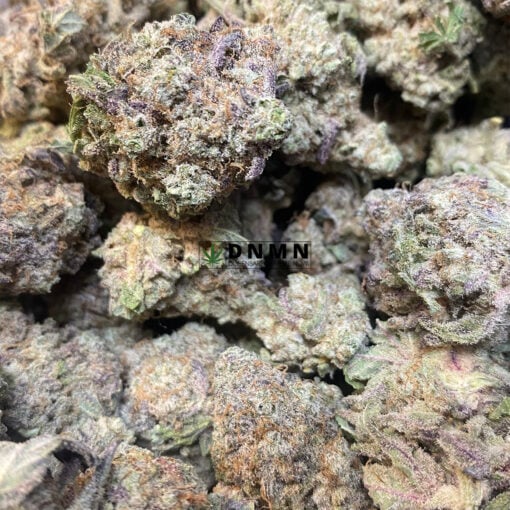 White Castle - Online Dispensary Canada - Dispensary Near Me Now