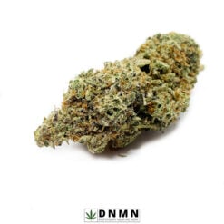 Blueberry Cookies - Buy Weed Online - Dispensary Near Me Now