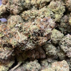 Gas Cake - Cheap Weed Canada - Dispensary Near Me Now