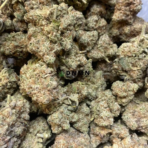 Goudaberry - Cheap Weed Canada - Dispensary Near Me Now