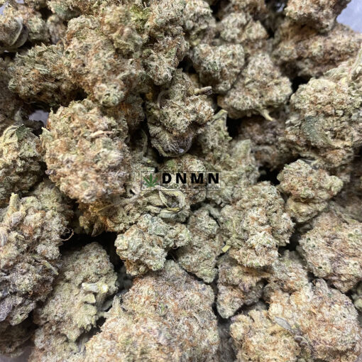 Goudaberry - Online Dispensary Canada - Dispensary Near Me Now